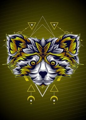 GOLD RACOON