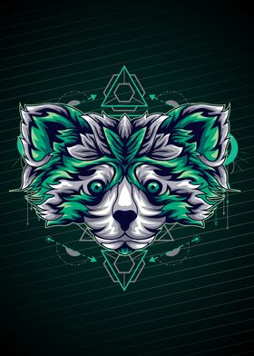 RACOON GEOMETRIC