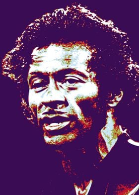 Chuck Berry Pop Art 2