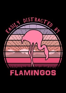 Distracted By Flamingos