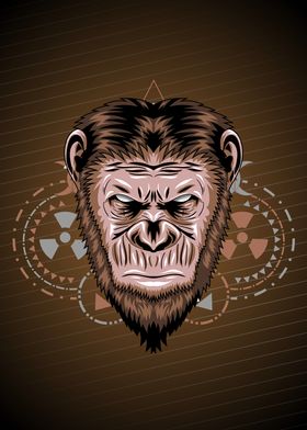 chimp geometric