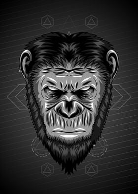 dark chimp