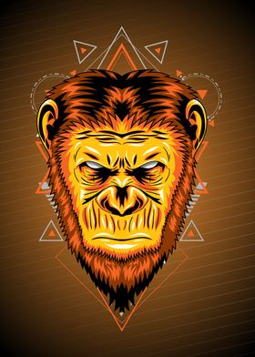 MONKEY GEOMETRIC