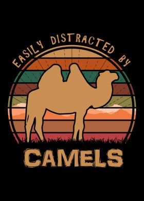 Distracted By Camels