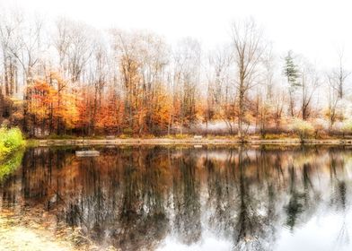 Autumn Tree Reflection