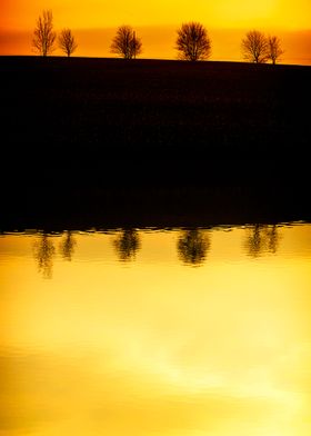 reflected trees and sunset