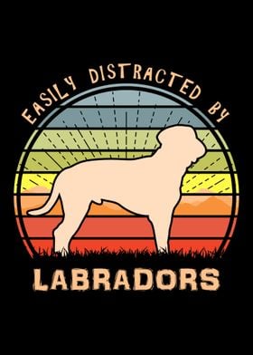 Distracted By Labradors