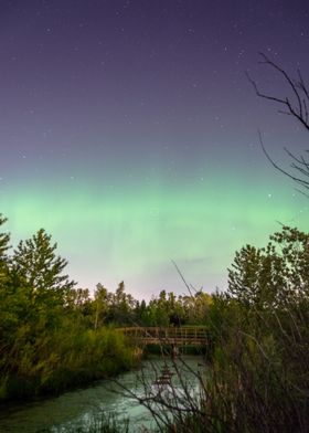 Aurora Rising