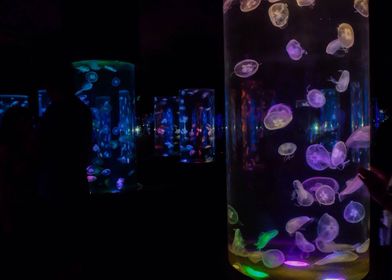 Real colours in the dark