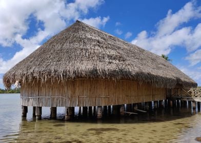 Orininal Polynesian House