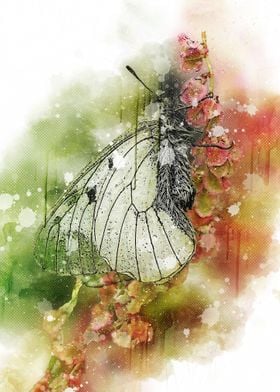 Butterfly and Flower Paint