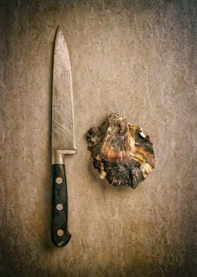 Oyster shell and knife 