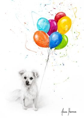 A Puppy Birthday