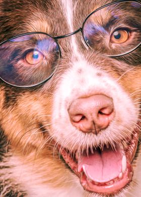 Brown Dog WIth Glasses 