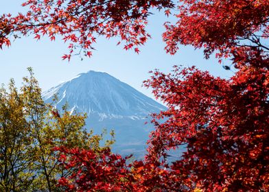 Mt Fuji in Autumn