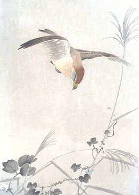 Hawk in Flight Woodblock