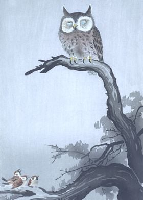 Owl and Sparrows Woodblock