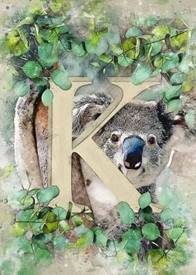 K Koala