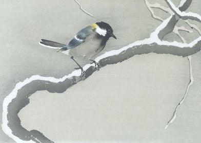 Tit Bird in Snow Woodblock