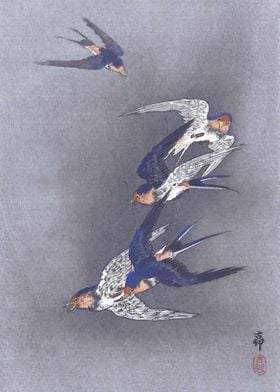 Swallows in sky Woodcut