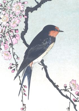 Swallow on Peach Tree Art