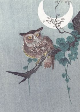 Owl and Crescent Moon 