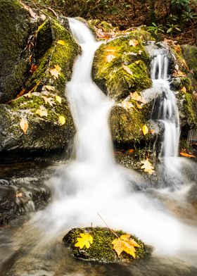 Peaceful Mountain Cascades