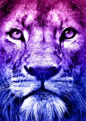 Lion Full Color 