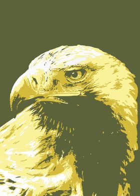 Eagle v14 Pop Art 