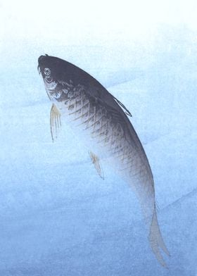 Carp Fish in Lake Woodcut