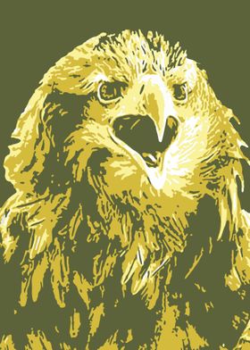 Eagle v15 Pop Art 