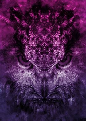Owl Poster Abstract