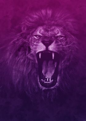 Colorful Lion Poster