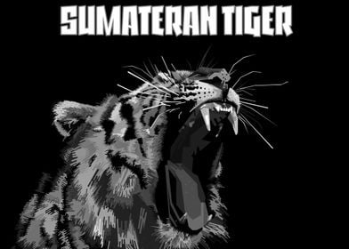 sumateran tiger 