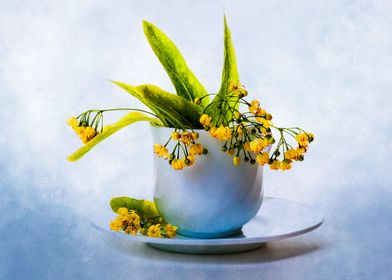 Lime Blossoms In A Teacup