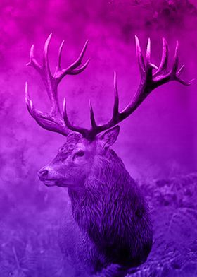 Colorful Deer Poster