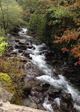 River in the mountains