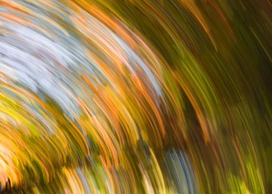 Forest motion blur 4