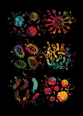 Bacteria 