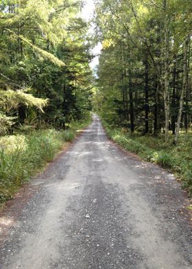 Path to the mountains