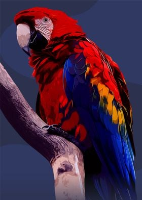 Cockatoo Vector