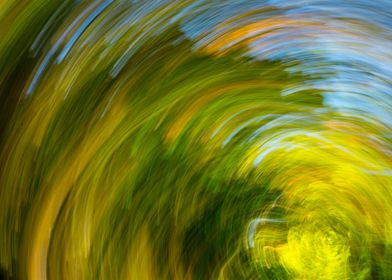Forest motion blur 1