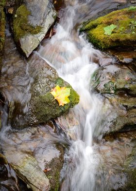 Sycamore Mountain Stream