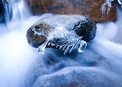 Frozen Beautiful Swimmer