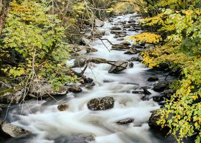 Fall Mountain Stream