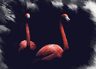 flamingo