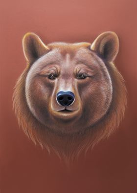 Grizzly cute brown bear