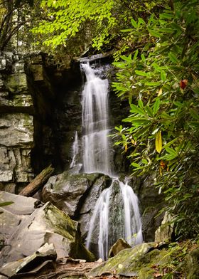 Sacred Forest Waterfall