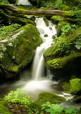 Quiet Waterfall Stream