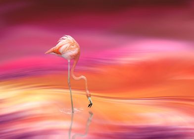Flamingo Bird Art